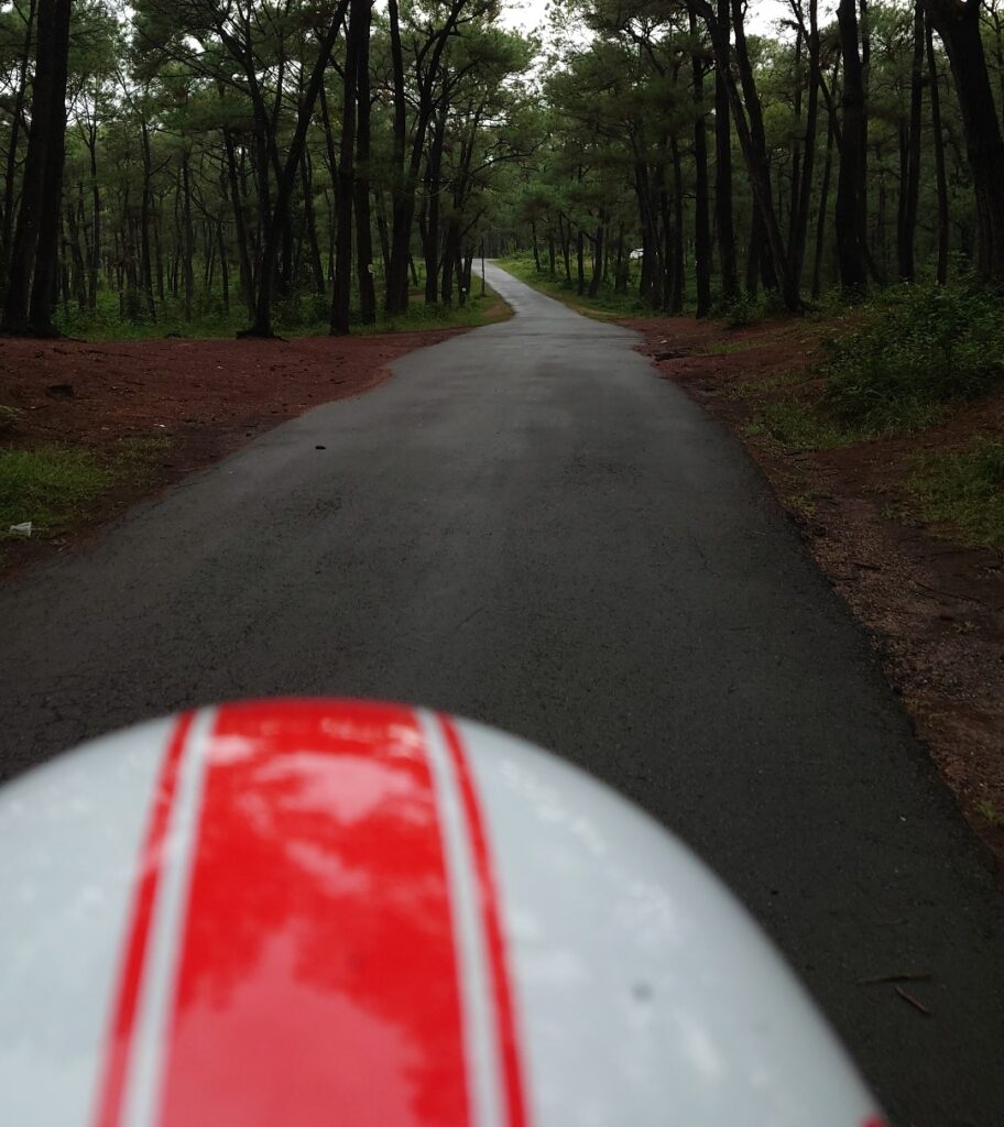 バイクを運転する友達の後ろ姿